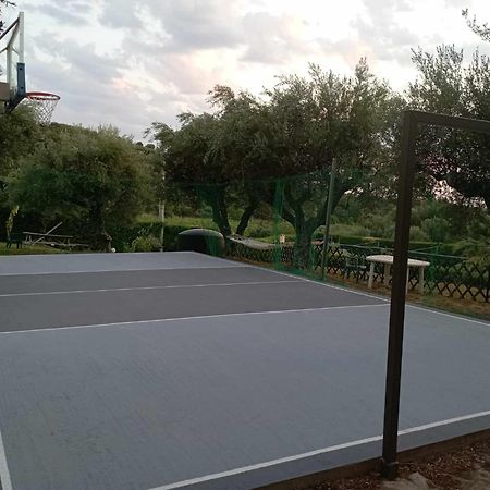 אפרטהוטל זכארו Alex House מראה חיצוני תמונה