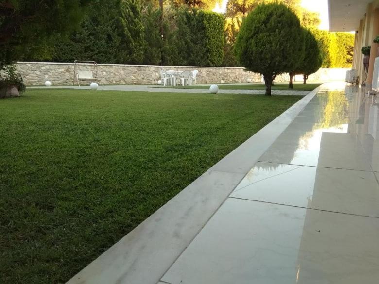 אפרטהוטל זכארו Alex House מראה חיצוני תמונה