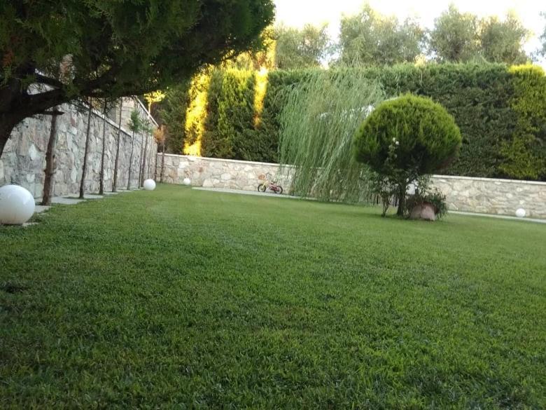 אפרטהוטל זכארו Alex House מראה חיצוני תמונה